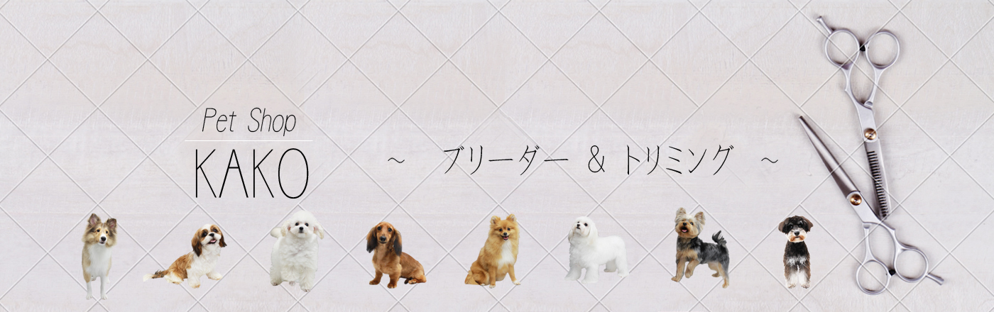 町田駅｜トリミング＆子犬のペットショップKAKO｜東京都町田市