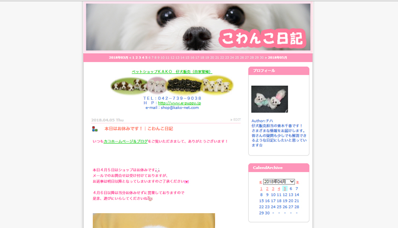 ペットショップKAKOの子犬たちを紹介するブログ